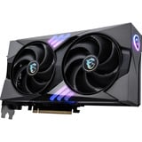 MSI V535-006R, Tarjeta gráfica 